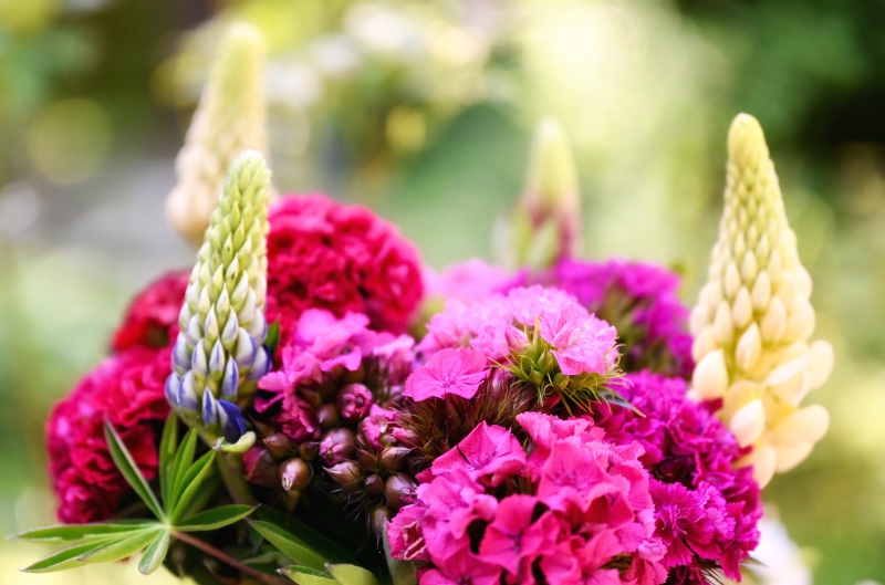 fleuriste-ANTIBES-min_flowers-5369794